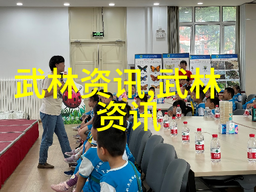 探索中国拳法的多样性揭秘武术之美