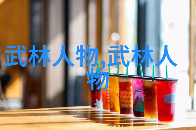 少林寺七十二路少林拳中国功夫秘籍典藏技艺之一