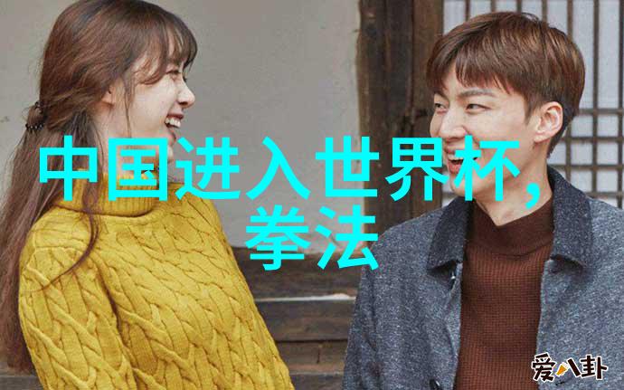 隐私保护与公共秩序如何平衡对禁用武术网站立法的态度