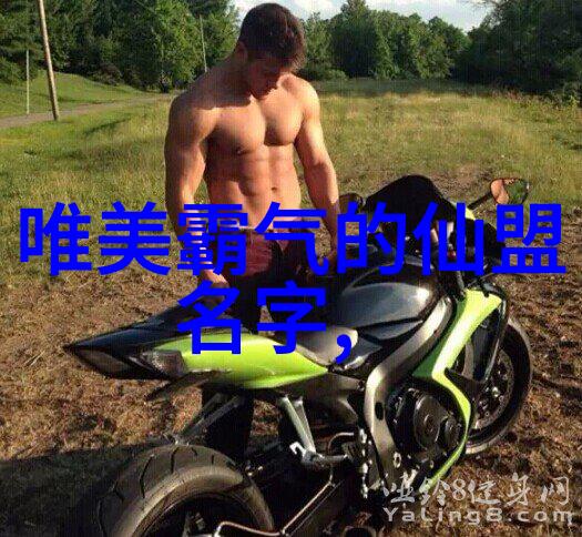小宝寻花奇遇小宝探险的花园之旅
