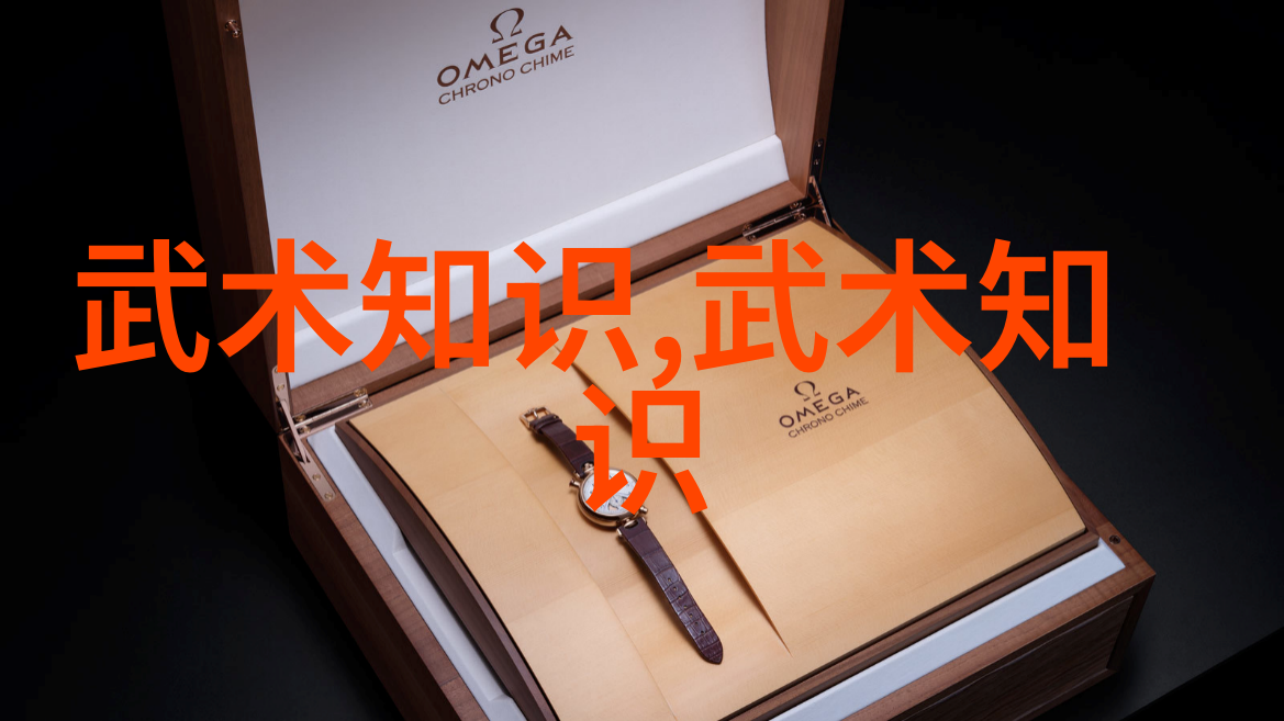 现代门派大师揭秘合页通背拳法之谜
