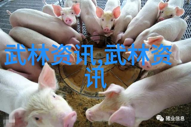 反复探究黄河鲤鱼的诱惑之法提高钓获概率超越世俗常识