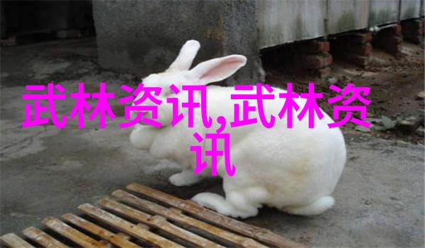 武林争霸哪家门派拳法最为神通广大王式形意拳震撼登场