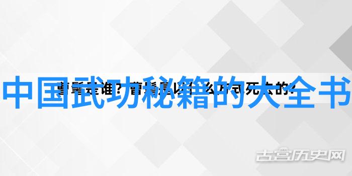 霜华幽会杨氏太极拳