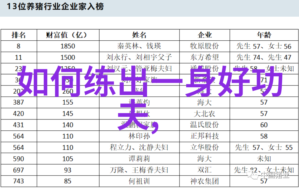传统武术中的12大基石基础与进阶