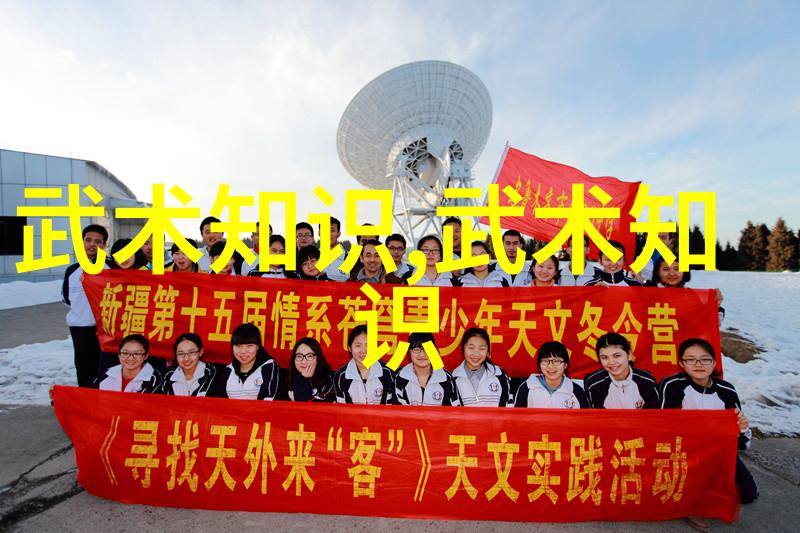 自学八极拳能成功吗(深入探究自学八极拳的可能性与挑战)