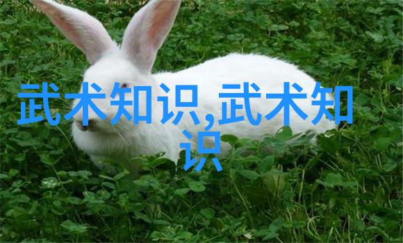 天穹纪元星际幻域宗盟