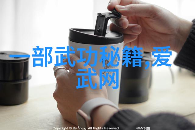 武术教程如何正确举拳入门