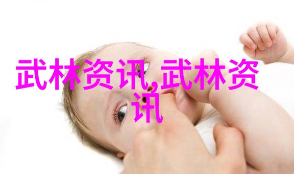 世界拳法之巅探索最为凶猛的击打艺术