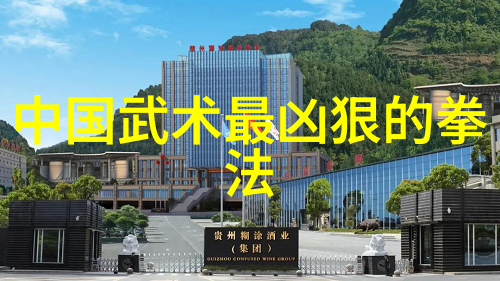 太极拳的套路与拳架初学武术之舞蹈体悟