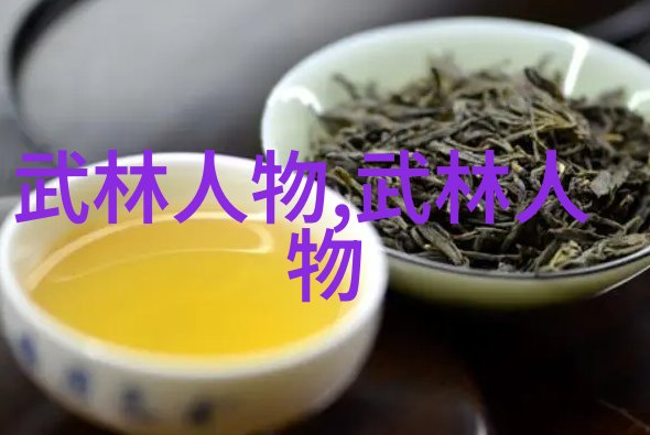 青春期里面的歌曲回声中的梦想与伤痛