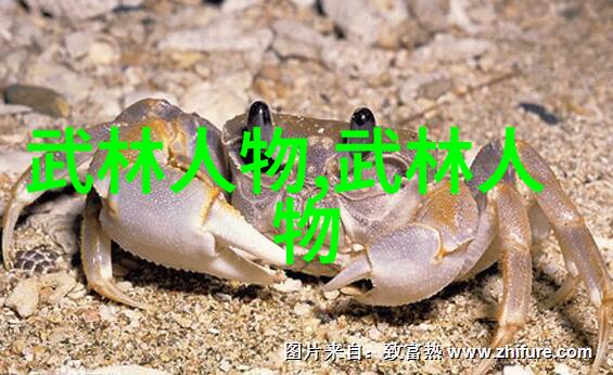 古风帮会孔门拳难道不是门派拳种