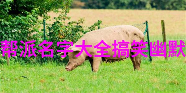 武林八大门派掌门人门派拳种开门八极拳