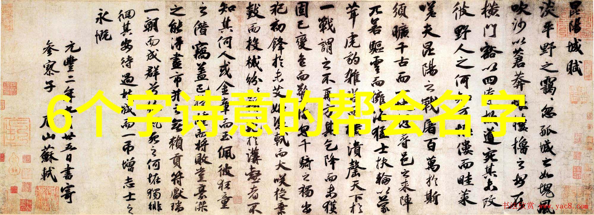 精品12探索久热的精华之选