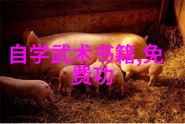 诗心铸剑梦绘江湖古风帮会的荣耀岁月