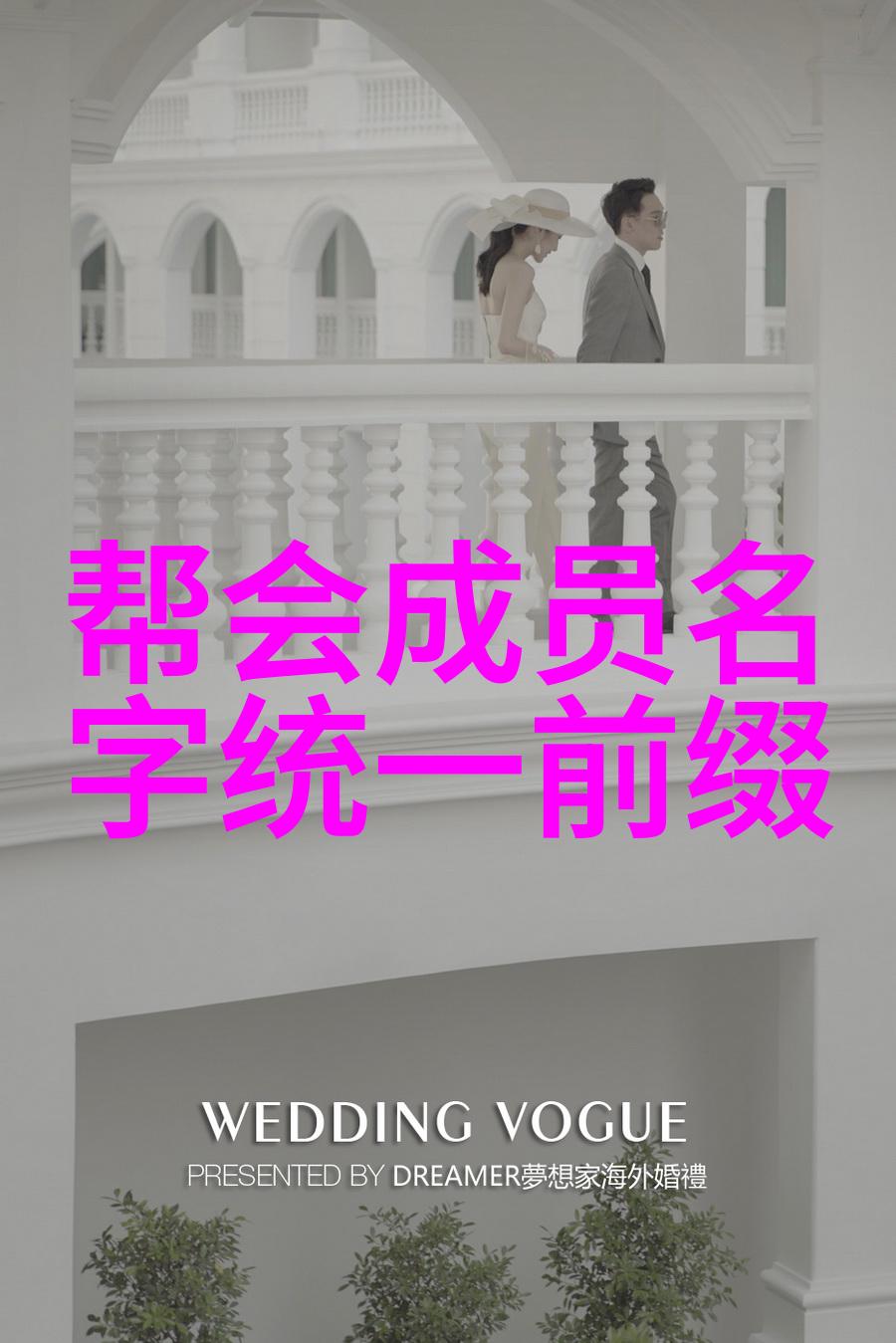 欧美iPhone69高分HD视频转换器的秘密之处如何将专业标准带入家用娱乐系统