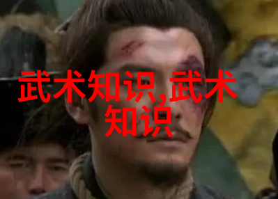 揭秘古代武功秘籍排名提升太极拳推手防身技巧征服内在力量的艺术