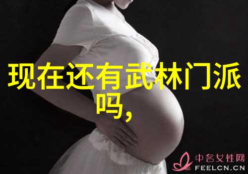 中国武术秘籍书 - 揭秘中华拳谱探索中国武术秘籍书的艺术与智慧