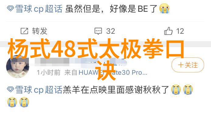 安徽武林秘密龙象太极门的拳种传承