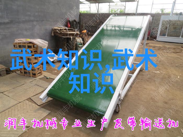 中国十大最强武术内家拳太极拳八卦掌形意拳昆仑剑
