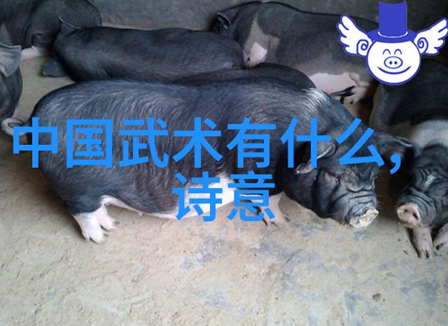 幽冥古籍幽灵帮会秘笈