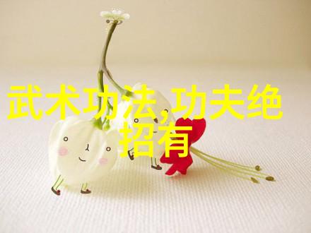 拳法秘籍修练之道