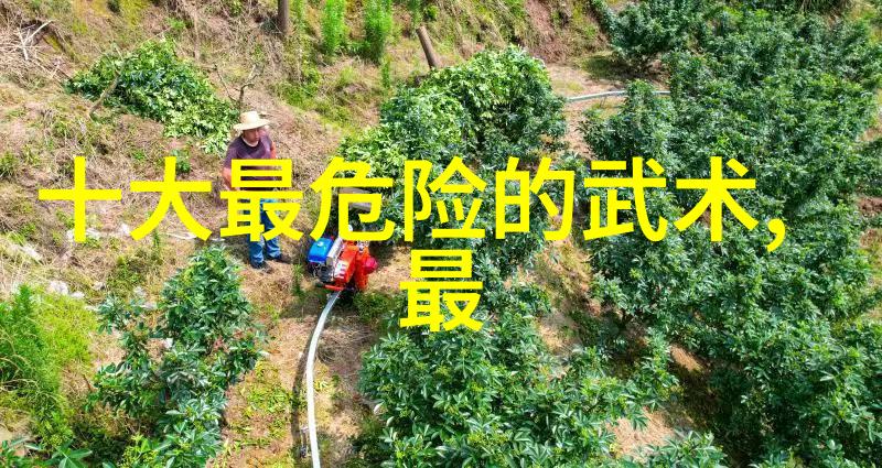 女生帮派之名探索风采与魅力的创意称号