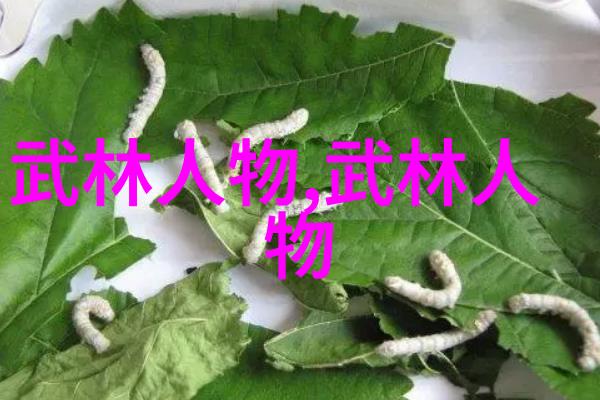 古籍武学探究剖析老武术书籍中的技艺与哲学
