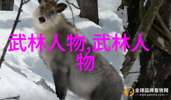 公会之声旋律与征途的交响