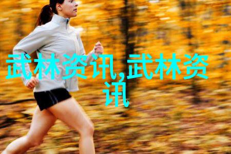 铁拳谱揭秘世界上最狠的拳法
