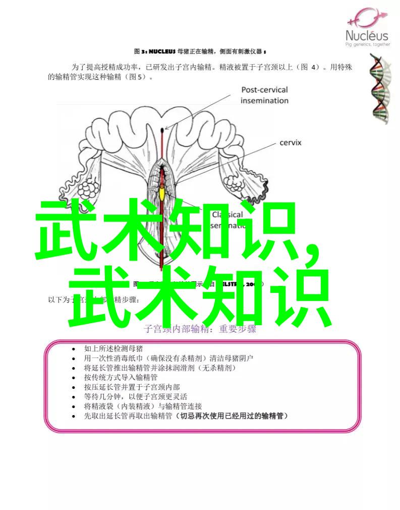 古风帮派月下幽梦诗章