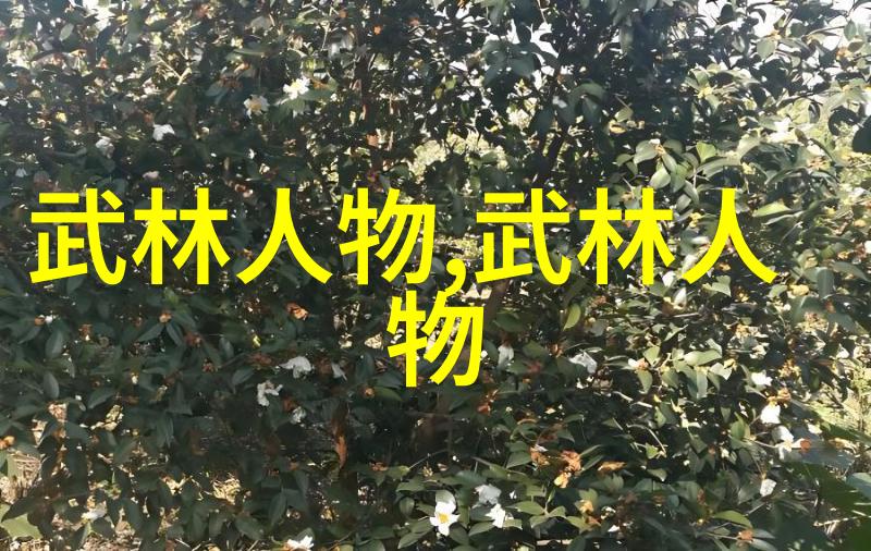 掌心之威揭开世界上最凶猛武术家的心法秘密