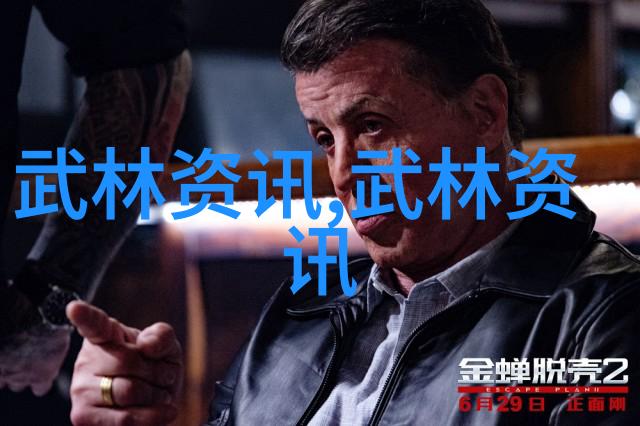 中国武术史上的九大派门