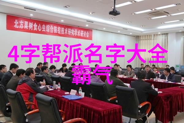 太极拳24式分解动作教学探究从古老的内功练习到现代化的运动体验