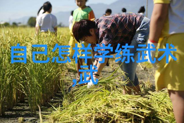古风家族绮丽篇章中的豪情纹章