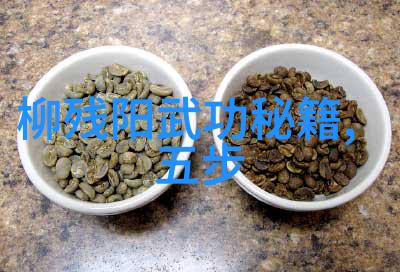 探索练习太极拳中的人生哲理与武功与武术的区别蒋学富