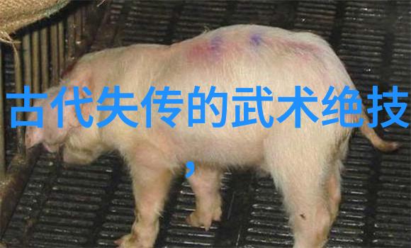 独行侠的修行武学秘籍与自学之道