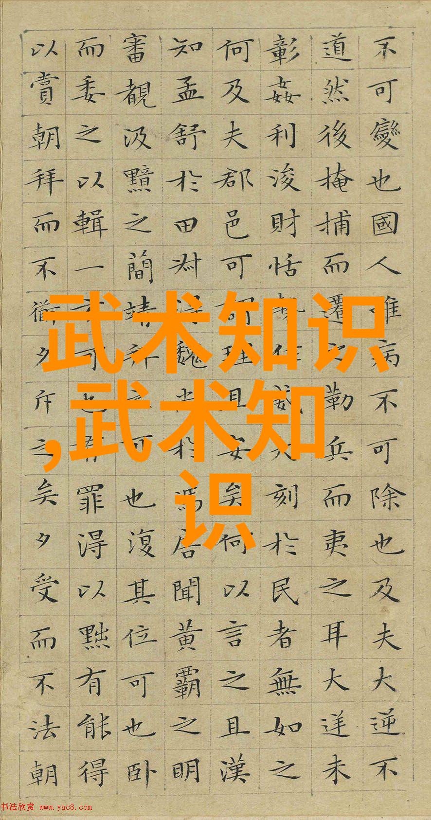 幽灵夜行者同盟月光下的秘密聚会