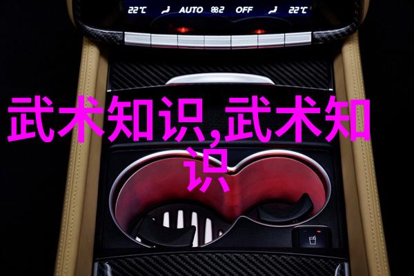 对于身材较矮的人来说南拳还是华拳更适合