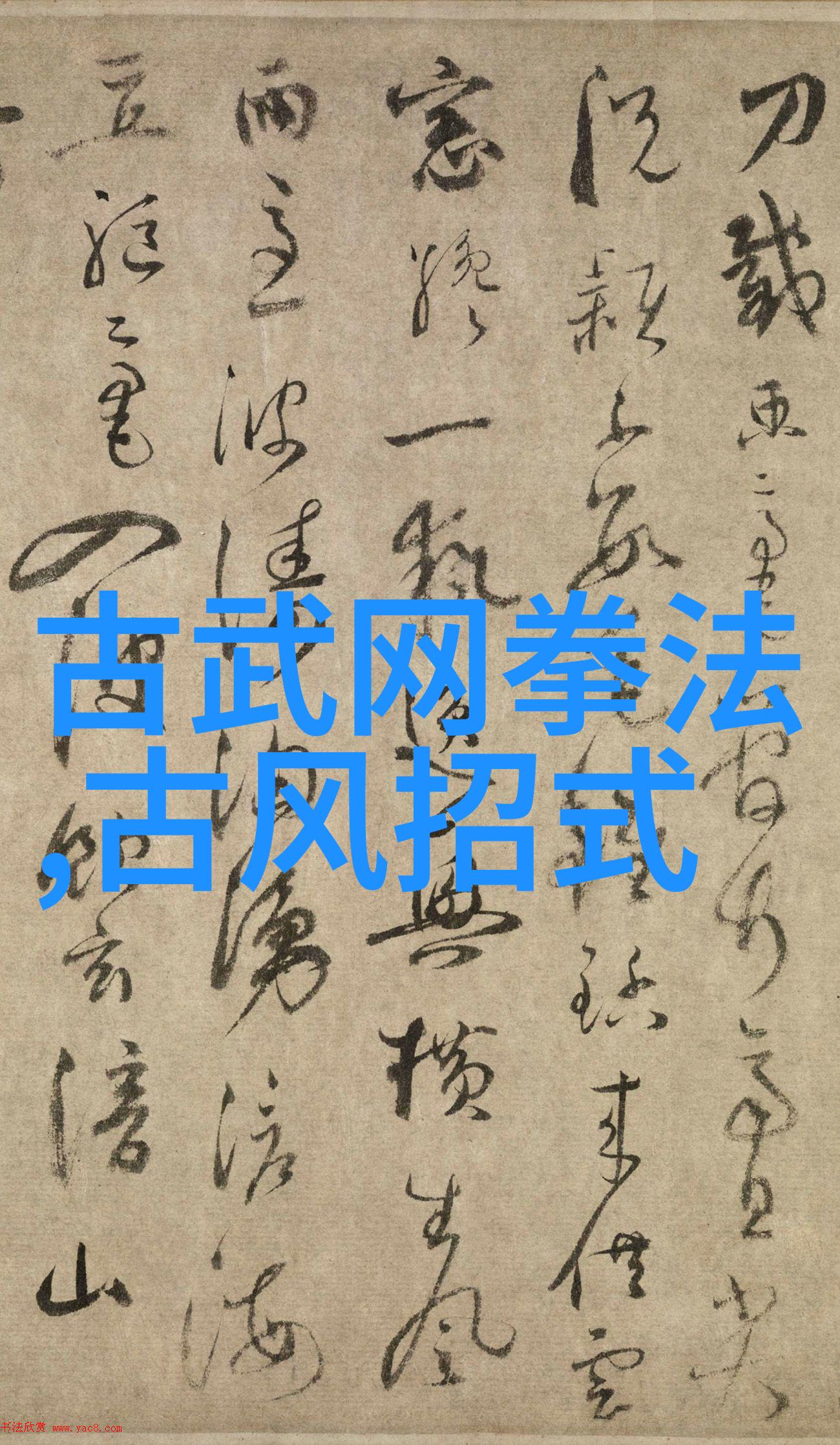 拳影穿梭世界之巅的狠拳探秘