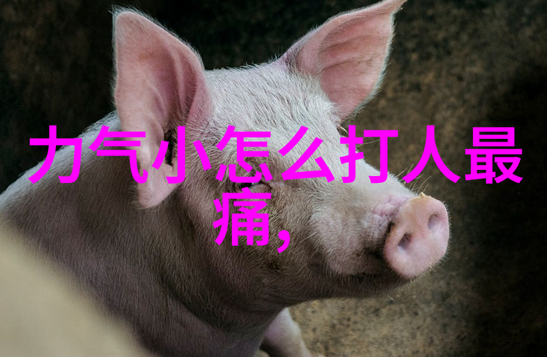 CEK俄罗斯BNAE0 - 探索CEK俄罗斯BNAE0未知代码背后的谜团