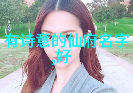 贵州武林秘密汇极拳揭秘门派拳种