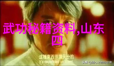 少林派掌门人释永信小说里好听的宗门藏于古老图书间的秘密物品