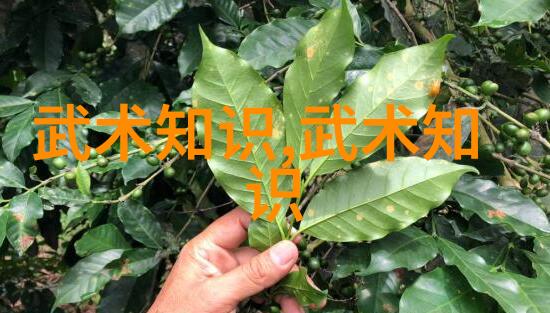 探秘古籍揭秘老武术书籍中的武学智慧与文化韵味