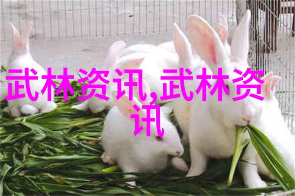 武林中存在哪些神秘的拳法能够一击必杀