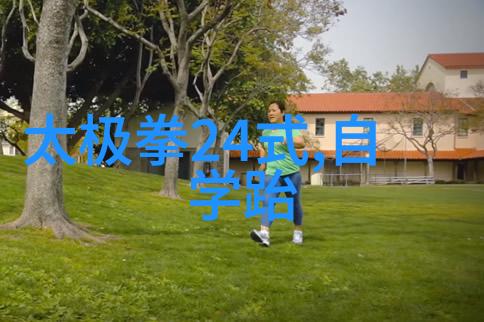 我想学功夫揭秘武术之路的奇幻旅程