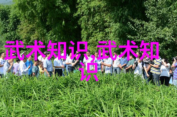 小李子肩部功能强化的使者以弹力带肩外旋为工具以推举为武器来吧小李子让我们一起锻炼出坚固无比的肩膀