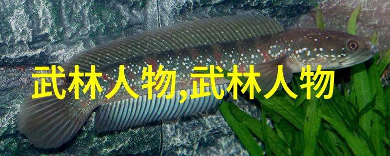 千古修真秘籍解锁9000部神功法典