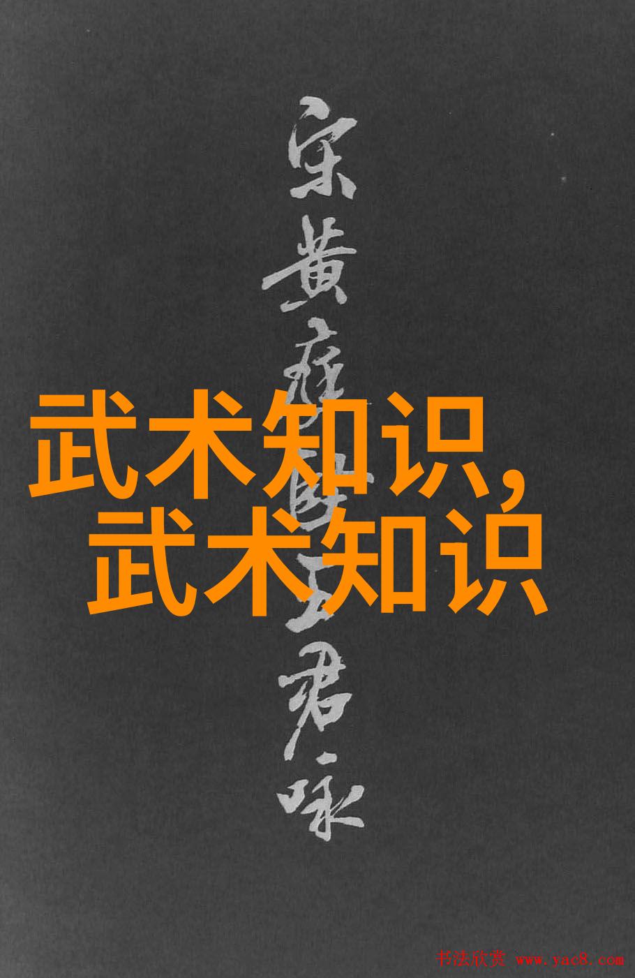拳影秘笈武学图解之谜