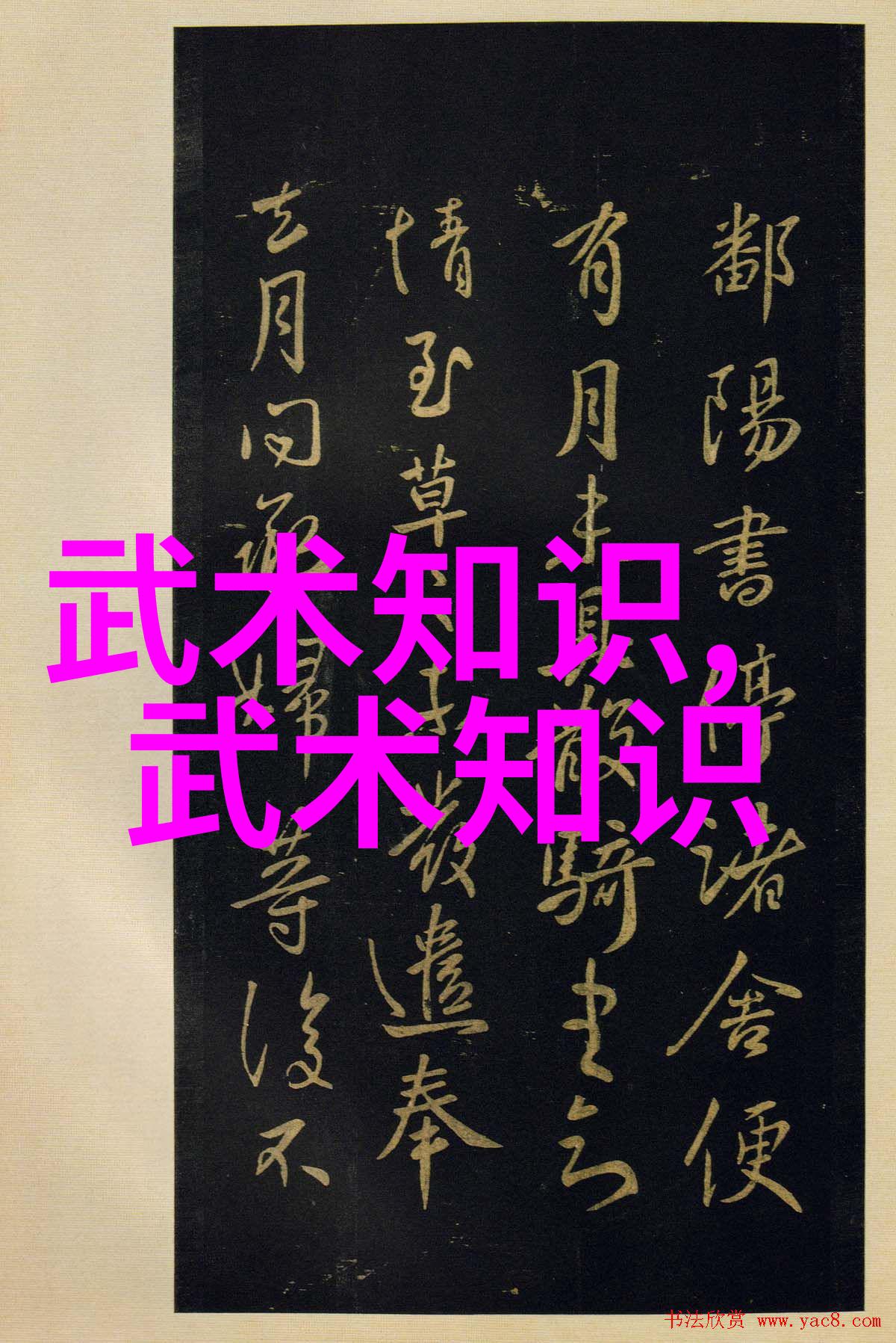 武当山历代宗师武功高强的传人们